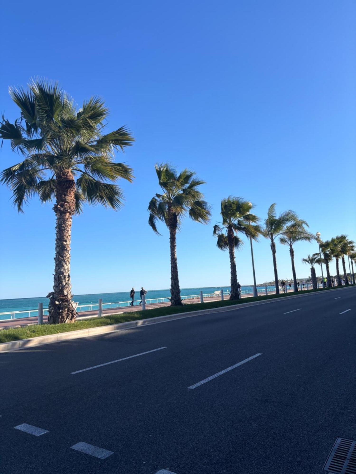 Grand Studio De 30 M2 Promenade Des Anglais 니스 외부 사진